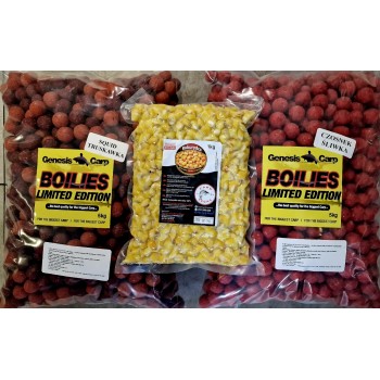 GENESIS CARP SQUID...