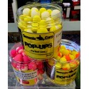 Genesis Carp LIMITED Kulki...