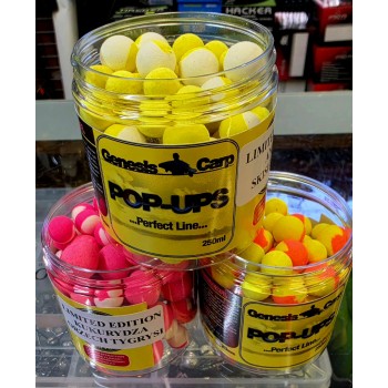 Genesis Carp LIMITED Kulki...