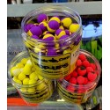 Genesis Carp LIMITED...