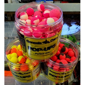 Genesis Carp LIMITED...