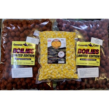 GENESIS CARP HOT DEMOON...