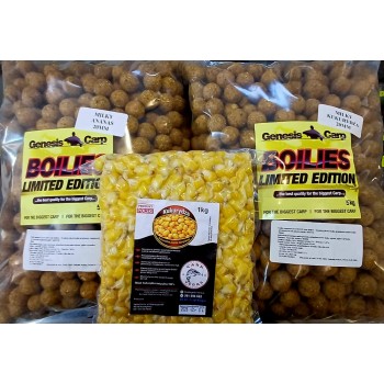 GENESIS CARP MILKY ANANAS...