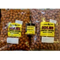 GENESIS CARP HOT DEMOON...