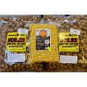 GENESIS CARP CITRUS MORWA...