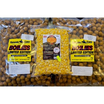 GENESIS CARP CITRUS MORWA...
