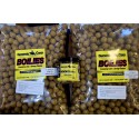 GENESIS CARP CITRUS ORZECH...