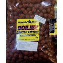 GENESIS CARP HOT DEMON...