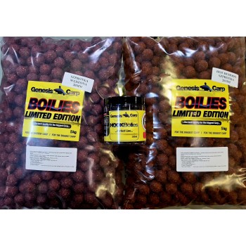 GENESIS CARP HOT DEMOON...
